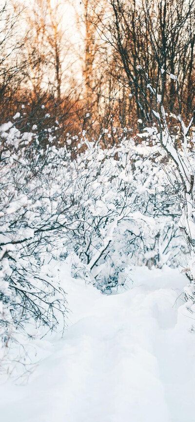 下雪的时候真的很美