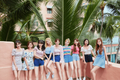 twice TWICE 兔 兔瓦斯