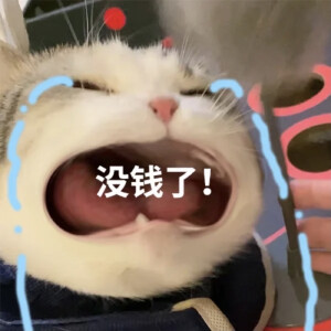 大嘴猫泡芙