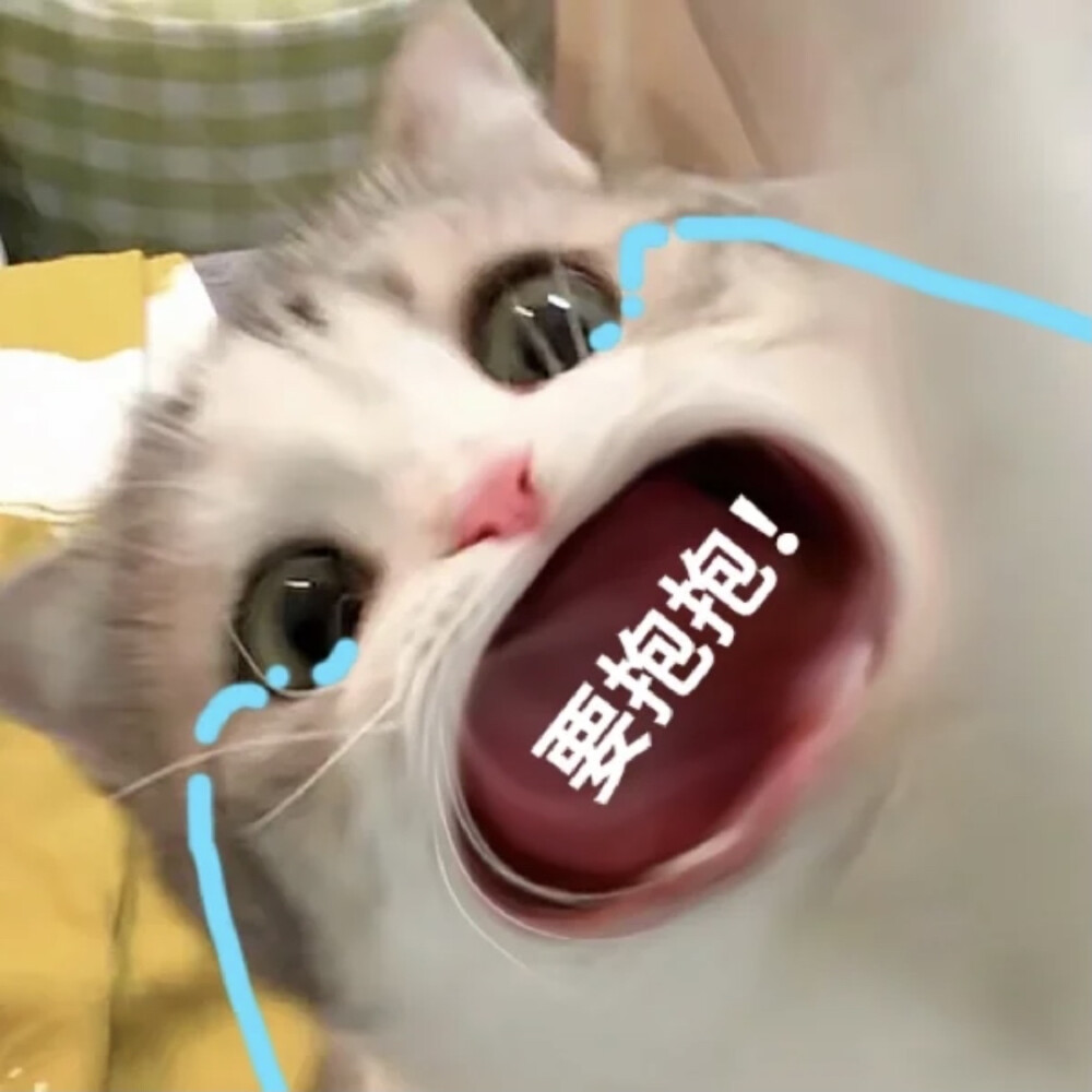 大嘴猫泡芙