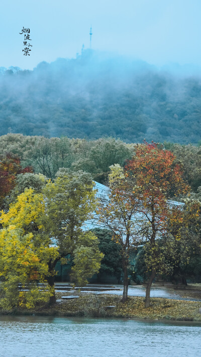 【中山植物园】层林尽染，山水如画