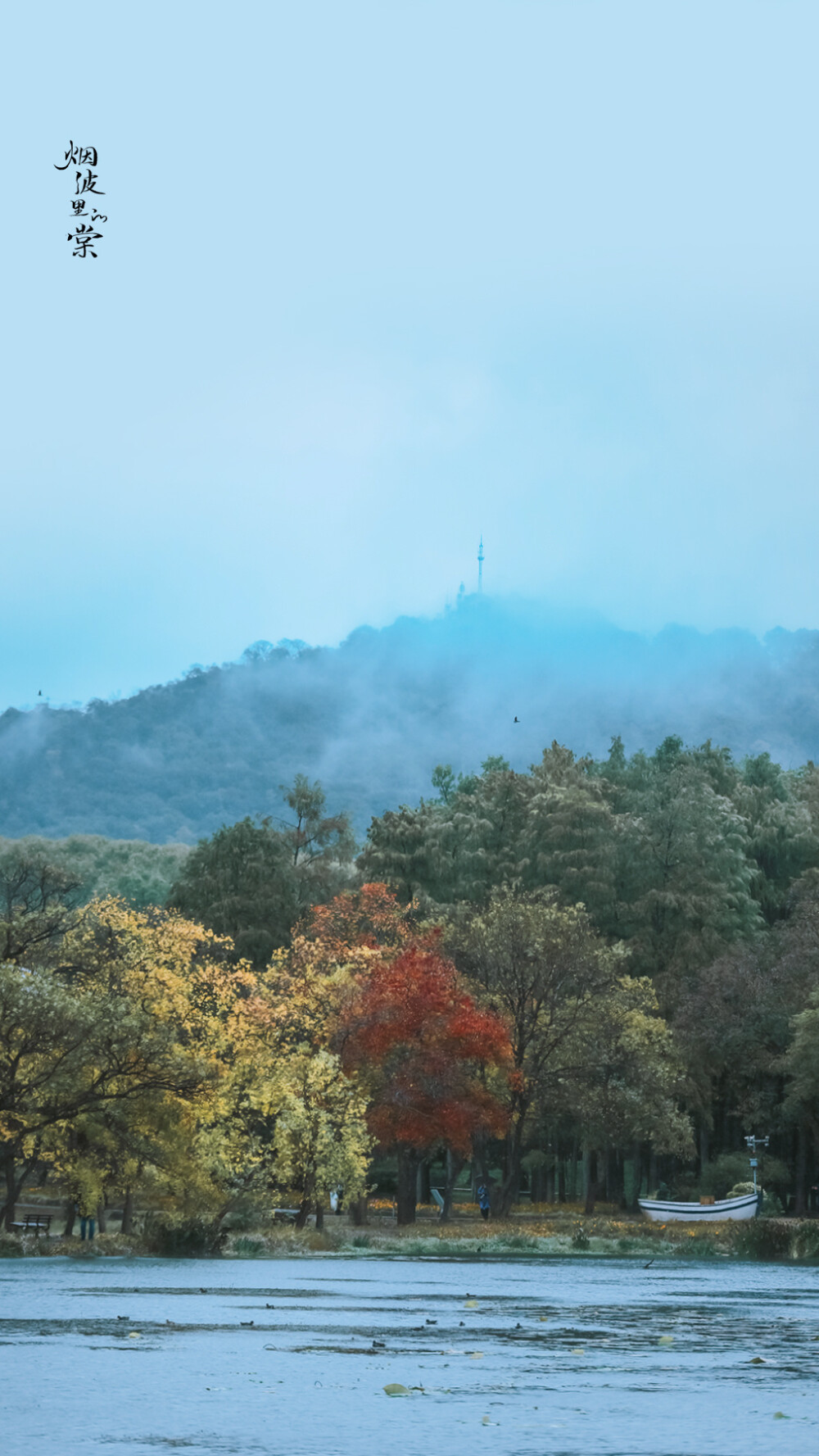 【中山植物园】层林尽染，山水如画