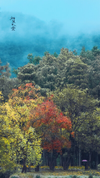 【中山植物园】层林尽染，山水如画