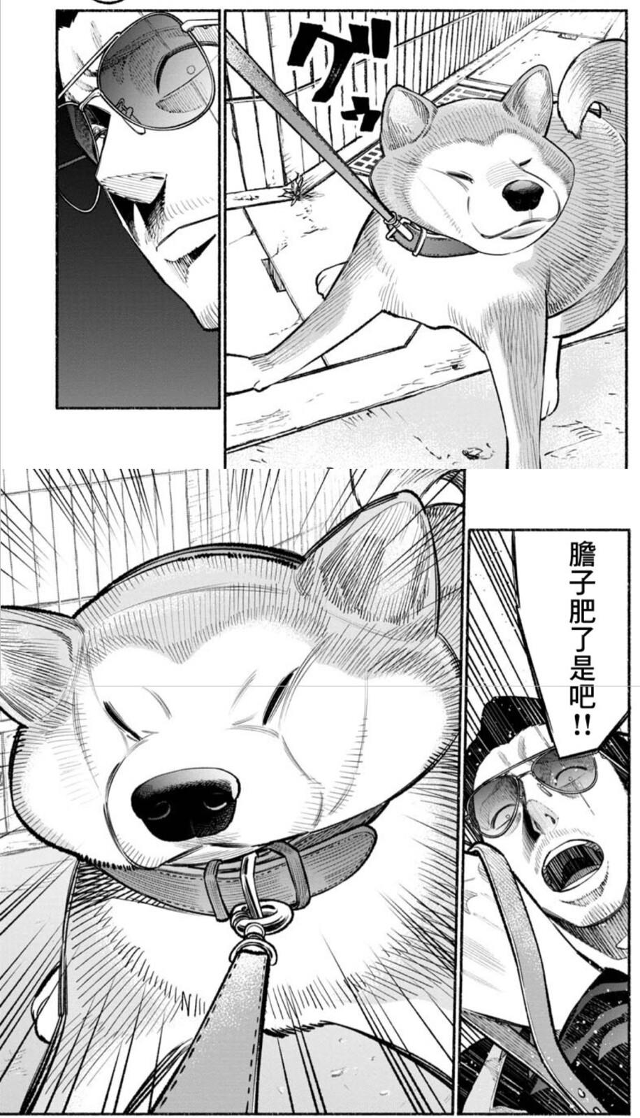 《极主夫道》搞笑中又有温情的漫画，黑道大哥金盆洗手来当家庭主夫，生活中处处都是战场，作者很喜欢做画面上的反转，你以为前一个镜头要杀人越货没有想到是逗猫玩狗，真的很有趣(*≧ω≦)