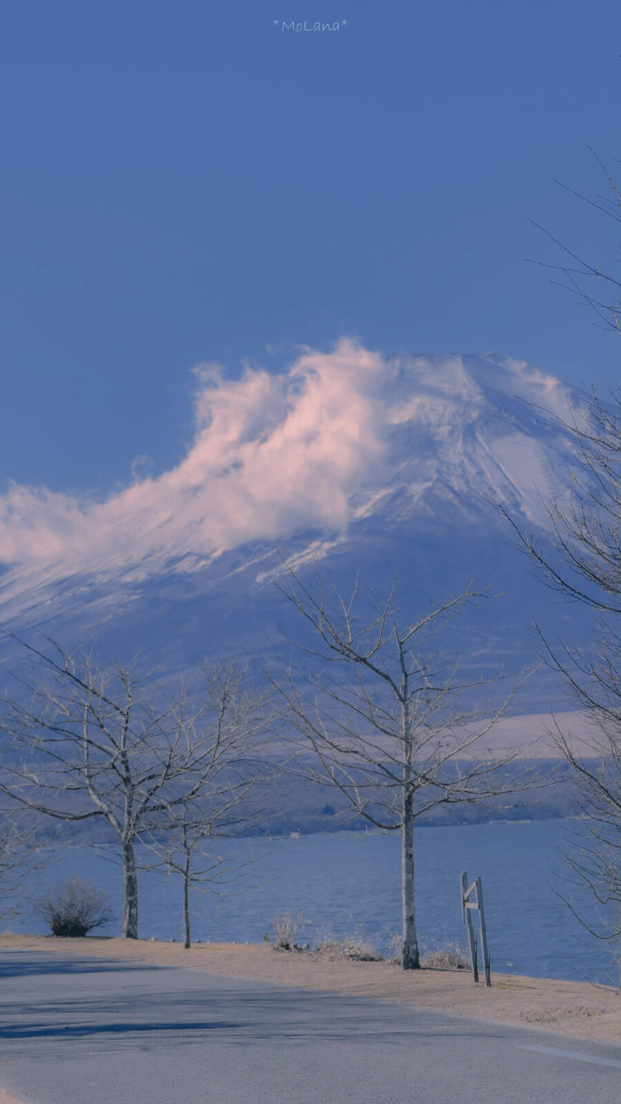 富士山