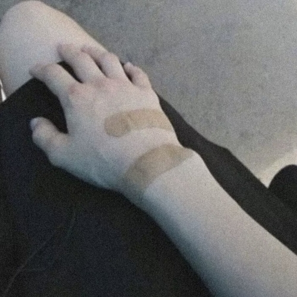 人类在浪漫中虚构此生