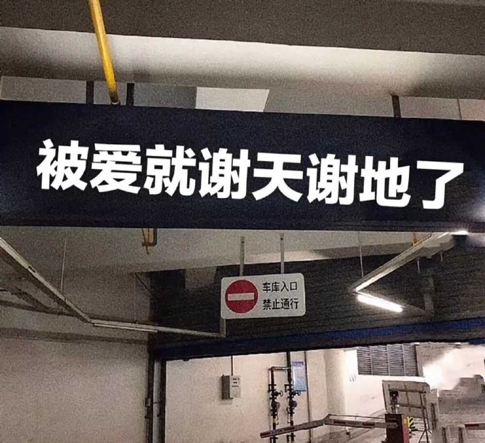 呼呼 发完了