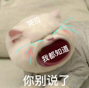 大嘴猫表情包