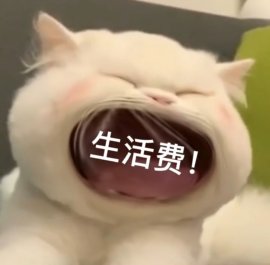 大嘴猫表情包