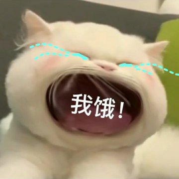 大嘴猫表情包