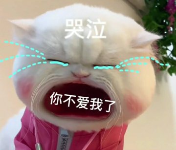 大嘴猫表情包