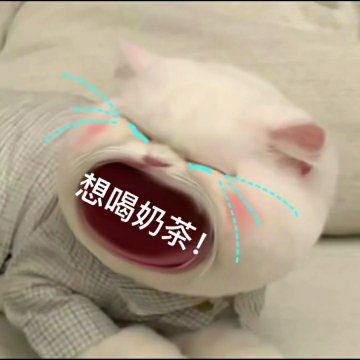 大嘴猫表情包