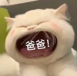 大嘴猫表情包