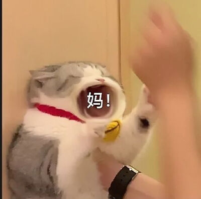 大嘴猫表情包