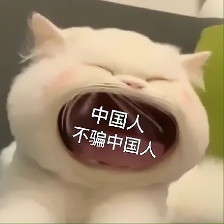 大嘴猫表情包