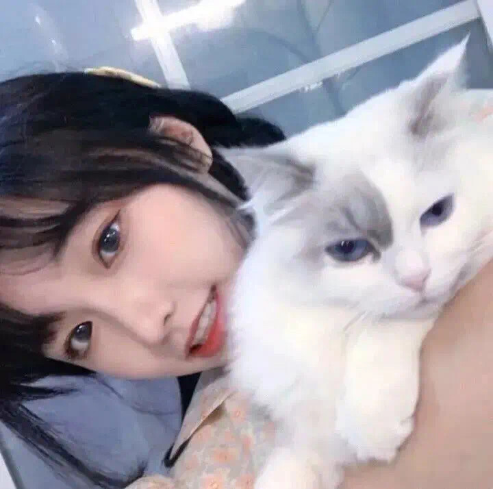 抱猫女生头像第二波♥