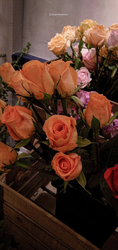 “如果是去见你 我一定捧着鲜花”
【图源网络 侵删】