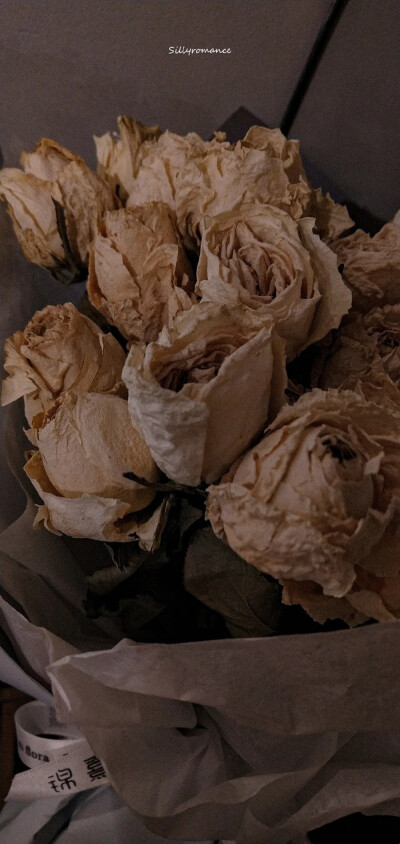 “如果是去见你 我一定捧着鲜花”
【图源网络 侵删】