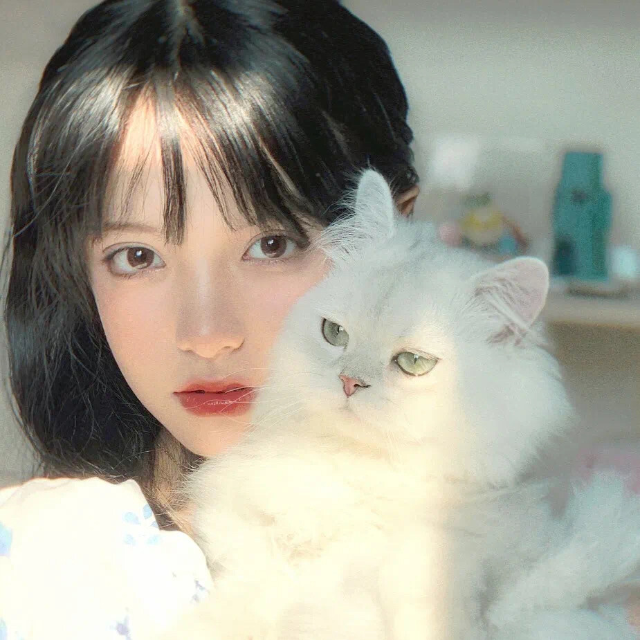 抱猫女生头像第四波♥