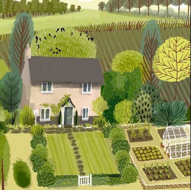 JANE NEWLAND 英格兰插画家 www.janenewland.com