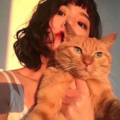 女生头像 抱猫