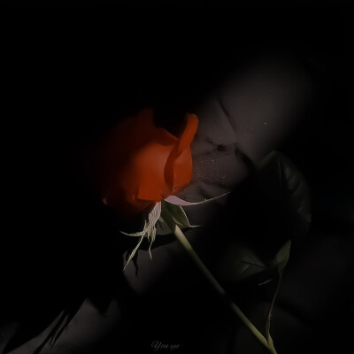 
：“我 愿 为 你 画 地 为 牢”
cr.puppystore_1992
