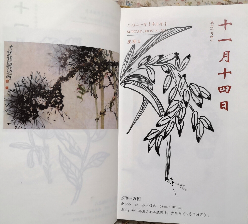 日历插画
11月10∽18日