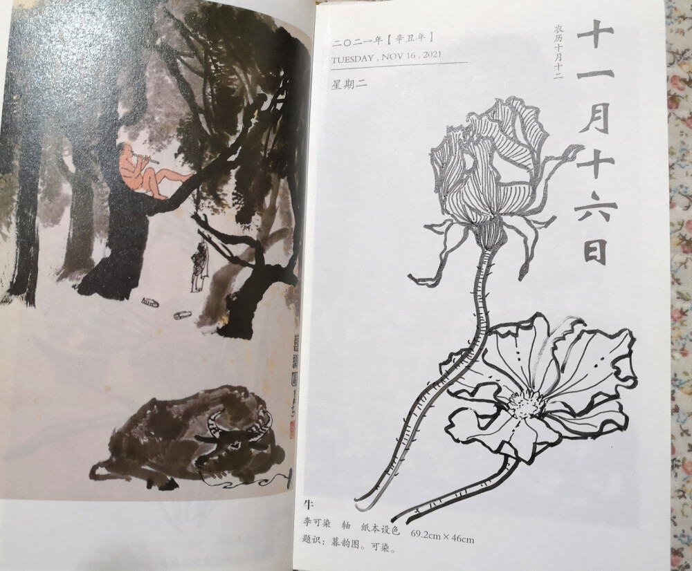 日历插画
11月10∽18日