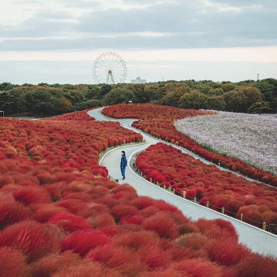 背景