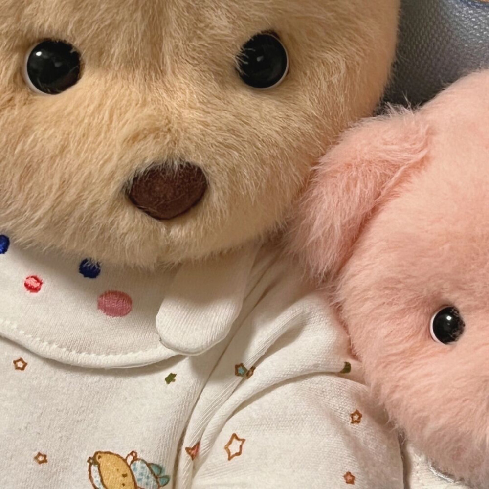 熊玩具情侣头像