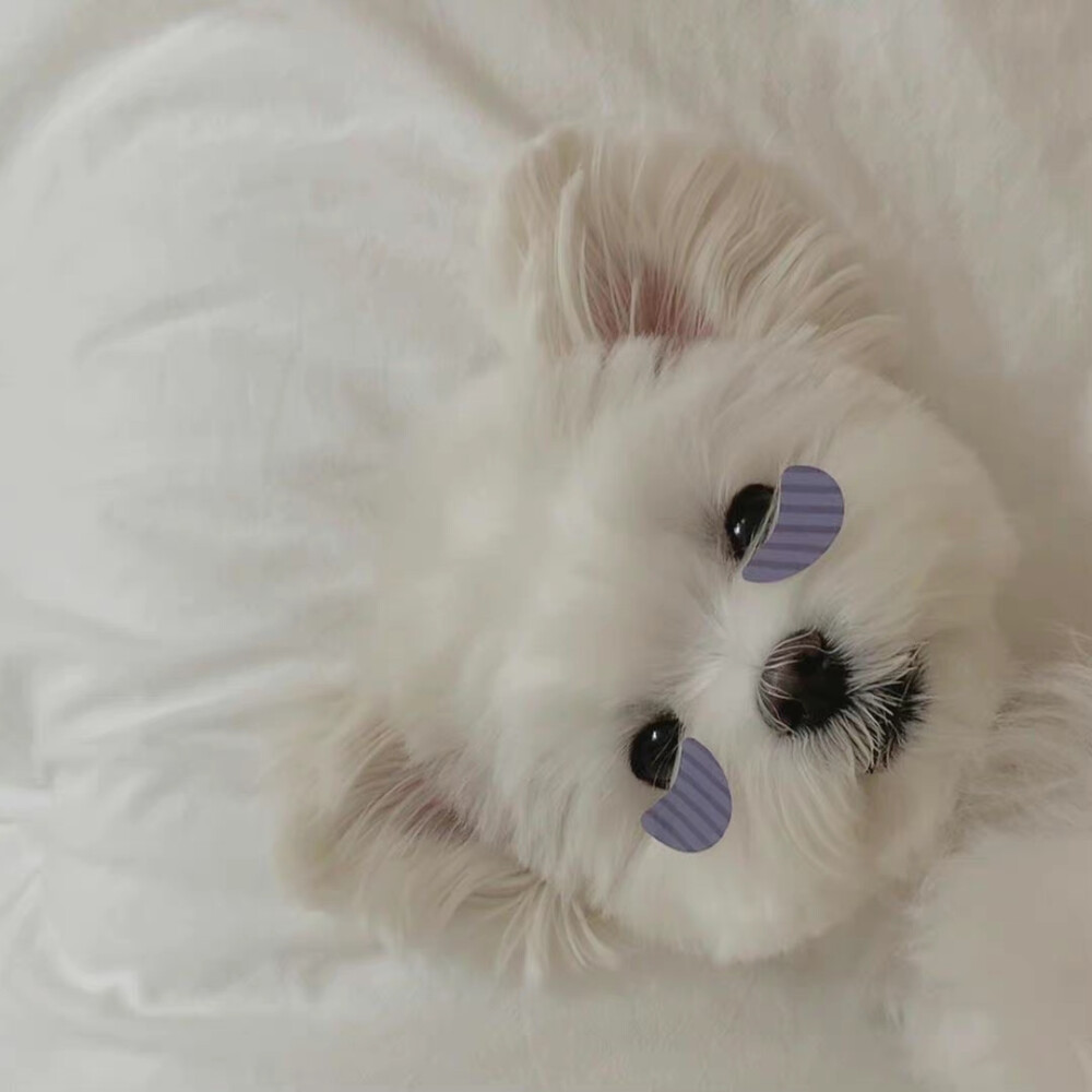 可爱晕了5555 ​​​