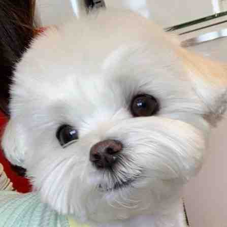 可爱晕了5555 ​​​