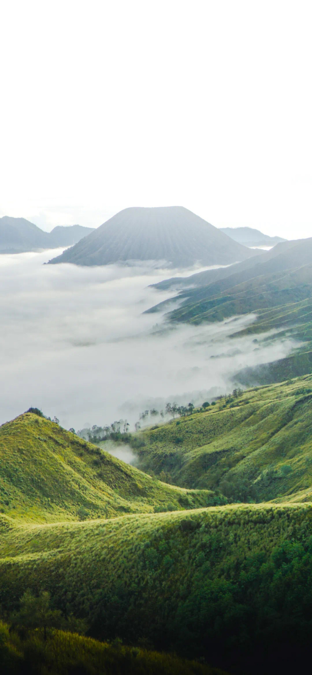 风景