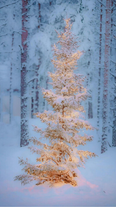 你那里下雪了吗？