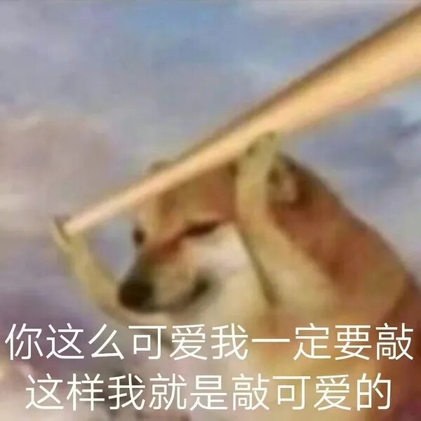 狗狗表情包