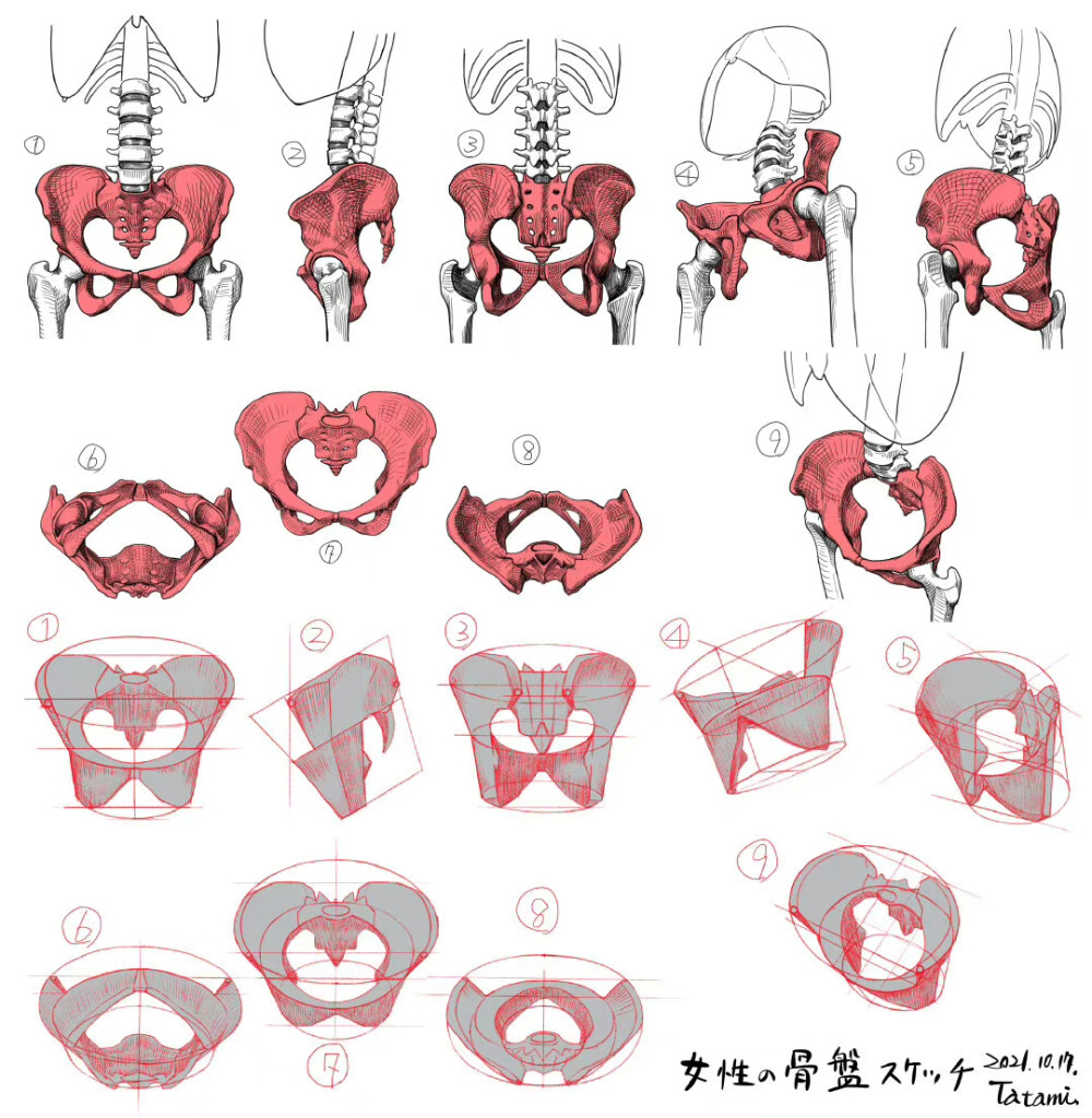 人体结构几何图案绘画线稿教程