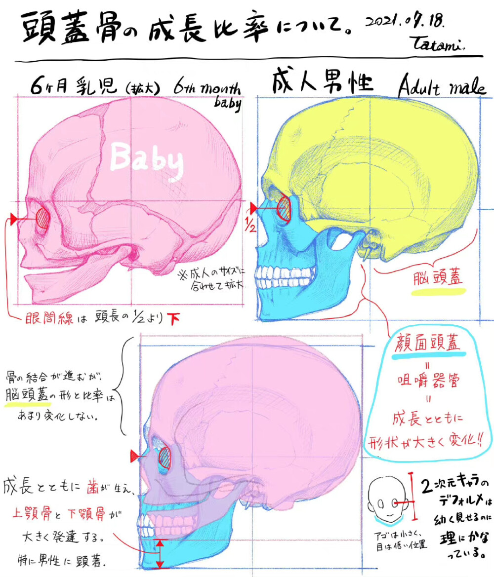 人体结构几何图案绘画线稿教程