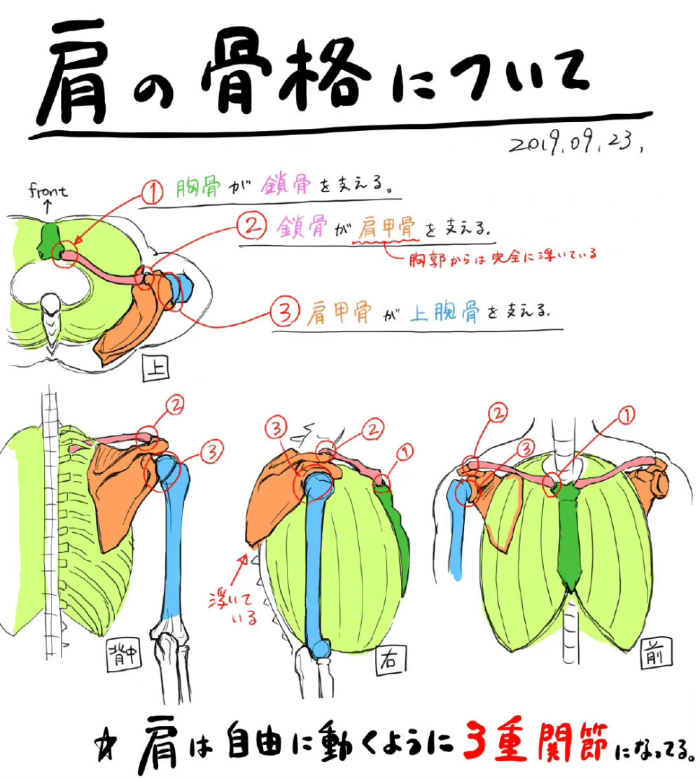 人体结构几何图案绘画线稿教程