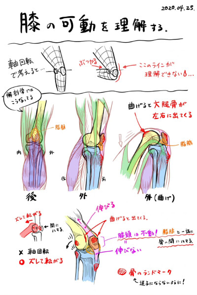 人体结构几何图案绘画线稿教程