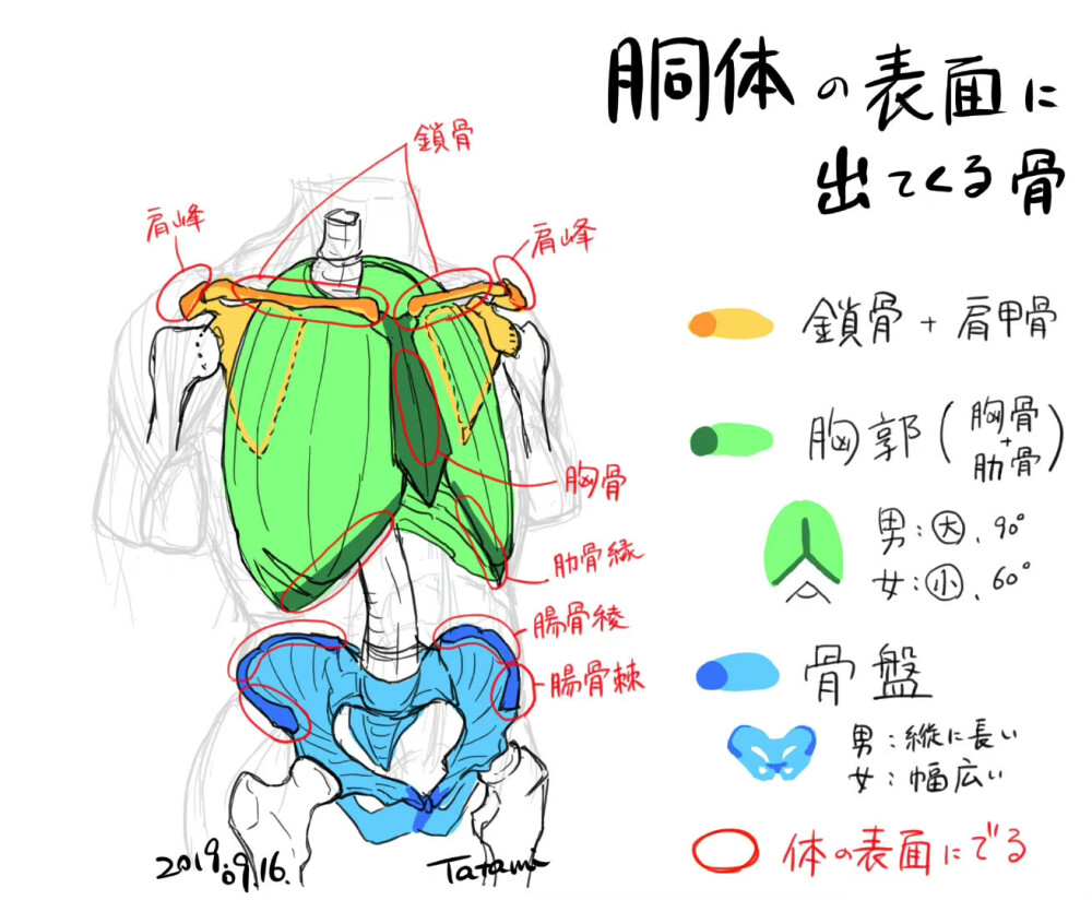 人体结构几何图案绘画线稿教程