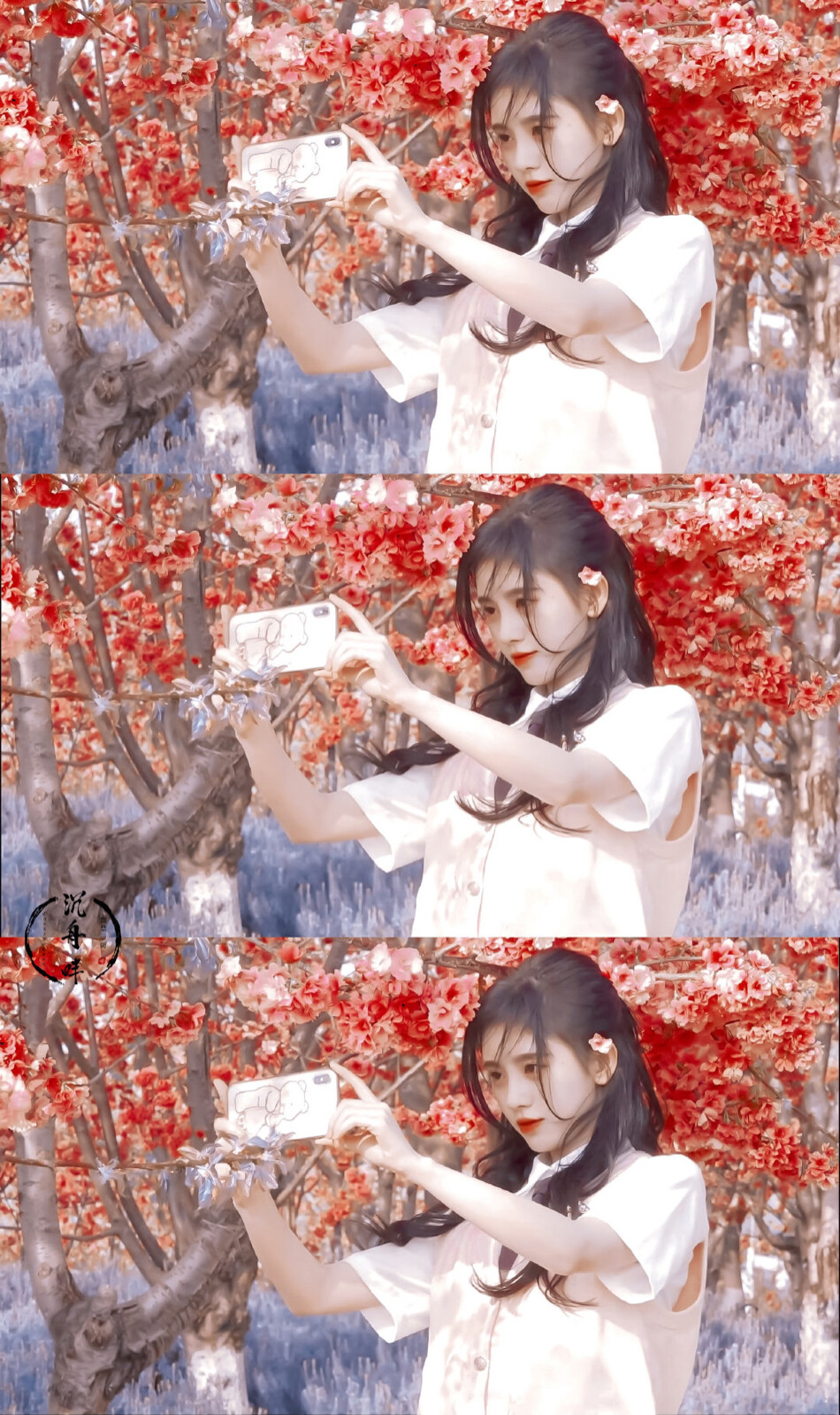 鞠婧祎樱花少女壁纸