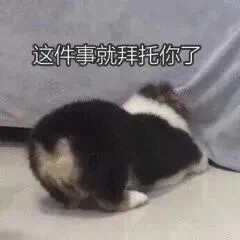 不更了这个专辑