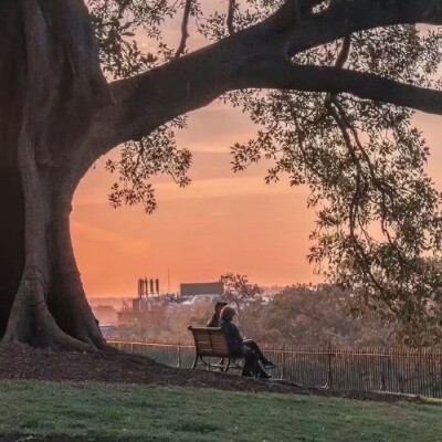 壁纸||“健康不只是不生病。健康包括你的情绪，你的社交空间，你的家，你的社区，你的城市，你的环境。”