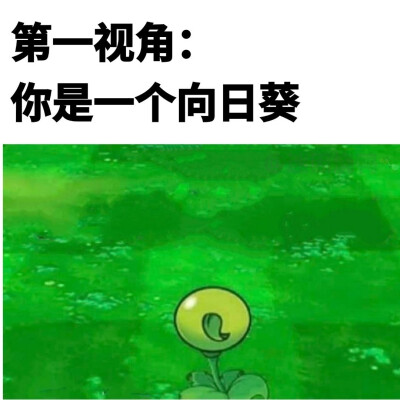 困