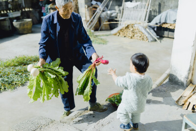 承欢阿太膝下
摄影：洪小漩
出镜：家人
小家装修好不多时，为了安全起见，还是决定暂且送菲比回了乡下小住几周。先是在阿科外婆家待了两周。上周末，我们赶回去从外婆家提上大包小包的行李，转而改道去了阿科爷爷…