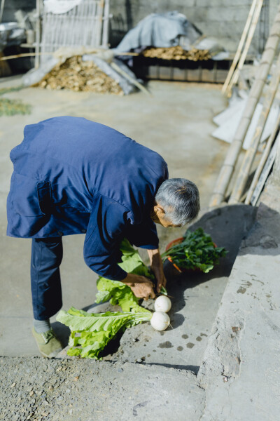 承欢阿太膝下
摄影：洪小漩
出镜：家人
小家装修好不多时，为了安全起见，还是决定暂且送菲比回了乡下小住几周。先是在阿科外婆家待了两周。上周末，我们赶回去从外婆家提上大包小包的行李，转而改道去了阿科爷爷…