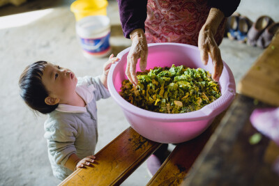 承欢阿太膝下
摄影：洪小漩
出镜：家人
小家装修好不多时，为了安全起见，还是决定暂且送菲比回了乡下小住几周。先是在阿科外婆家待了两周。上周末，我们赶回去从外婆家提上大包小包的行李，转而改道去了阿科爷爷…