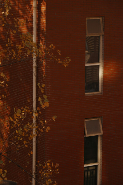 秋日 壁纸 摄影 手机壁纸