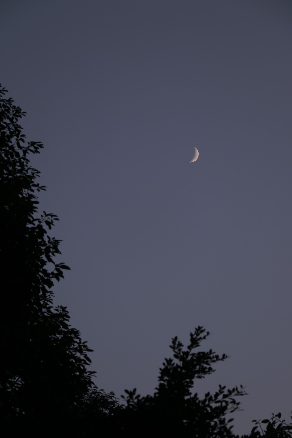 秋日 壁纸 摄影 手机壁纸