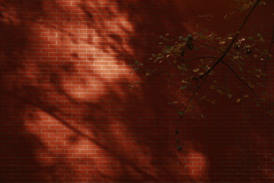 秋日 壁纸 摄影 手机壁纸